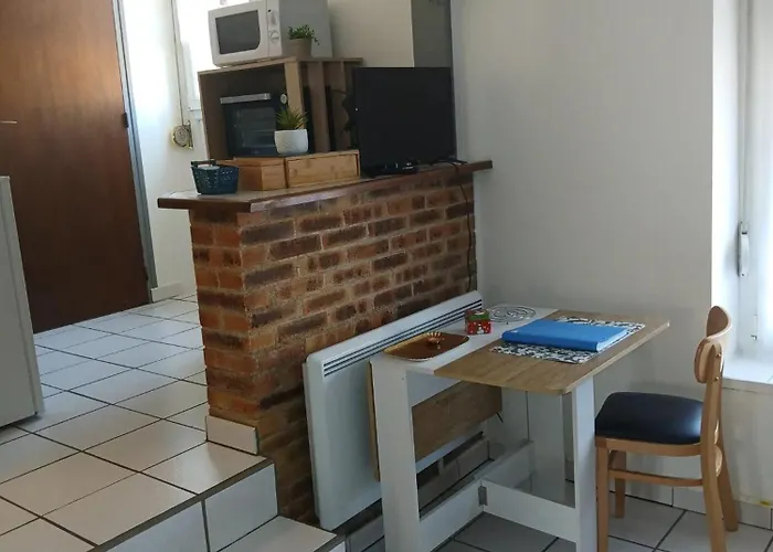 Lägenhet Studio Cosy A Sedan Avec Jardin Cloture De 22 M² *